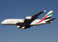 A6-EEE photo, click to enlarge A6-EEE photo, click to enlarge