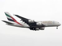A6-EDW photo, click to enlarge A6-EDW photo, click to enlarge