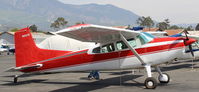 N20315 @ SZP - 1981 Cessna 180K SKYWAGON, Continental IO-470-K 230 Hp - by Doug Robertson