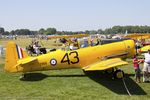 CF-ROA @ KOSH - Canadian Car & Foundry Harvard MK IV CN CCF4-242, CF-ROA - by Dariusz Jezewski  FotoDJ.com