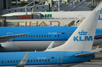 PH-BHD @ EHAM - KLM 787 AT SCHIPHOL - by fink123