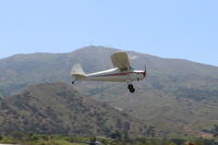 N45488 @ SZP - 1946 Luscombe 8A, Continental A&C-65 65 Hp, takeoff climb Rwy 22 - by Doug Robertson