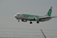 PH-HZE @ EHAM - TRANSAVIA LANDING - by fink123