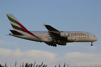 A6-EDO @ KJFK - Airbus A380-861 - Emirates  C/N 057, A6-EDO - by Dariusz Jezewski www.FotoDj.com