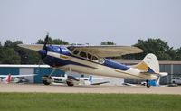N195MK @ KOSH - Cessna 195B - by Mark Pasqualino