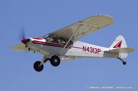 N4313P @ KOSH - Piper PA-18-150 Super Cub  C/N 18-8009006, N4313P - by Dariusz Jezewski www.FotoDj.com