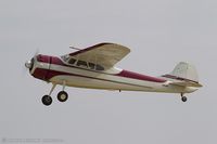 N195AK @ KOSH - Cessna 195A Businessliner  C/N 7778, N195AK - by Dariusz Jezewski www.FotoDj.com