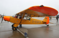 D-EGFG @ ETNG - yellow bird in the rain - by olivier Cortot