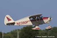 N2390P @ KOSH - Piper PA-22-150 Tri-Pacer  C/N 22-2781, N2390P - by Dariusz Jezewski www.FotoDj.com