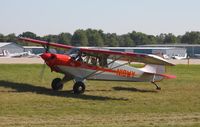 N18WY @ KOSH - Aviat A-1C-180