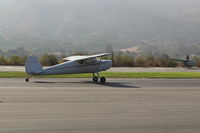 N2115V @ SZP - 1948 Cessna 120, Continental C85 85 Hp, landing roll Rwy 22 - by Doug Robertson