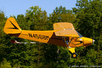 N4568M - Piper PA-11 Cub Special C/N 11-71 - Flying Farmer - Stanley Segalla, N4568M - by Dariusz Jezewski www.FotoDj.com