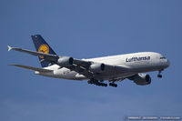 D-AIML @ KJFK - Airbus A380-841 - Lufthansa  C/N 149, D-AIML - by Dariusz Jezewski www.FotoDj.com