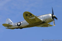 N647D @ KYIP - Republic P-47D Thunderbolt Wicked Wabbit  C/N 8955583, NX647D - by Dariusz Jezewski www.FotoDj.com