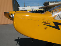 N800NA @ KRHV - Close-Up nose with Alibird titles on Amelia Reid Aviation 2004 Zlin Savage Classic @ Reid-Hillview Airport (San Jose), CA home base - by Steve Nation