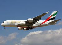 A6-EEB photo, click to enlarge A6-EEB photo, click to enlarge