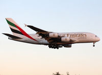 A6-EUE photo, click to enlarge A6-EUE photo, click to enlarge