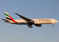 A6-EFN photo, click to enlarge A6-EFN photo, click to enlarge