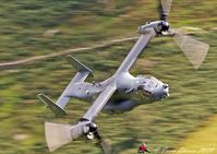 12-0063 - Osprey in Wales - by id2770