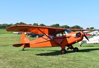 N30508 @ 40I - Piper J5A seen at Red Stewart Airfield fly-in - by Christian Maurer