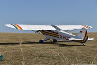 D-ELQY @ EDRV - Piper PA-18-95 Super Cab - Private - 18-3083 - D-ELQY - 02.09.2018 - EDRV - by Ralf Winter