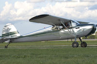N4033V @ KOSH - Cessna 170  C/N 18380, N4033V - by Dariusz Jezewski  FotoDJ.com