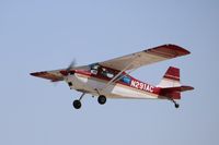 N291AC @ KOSH - American Champion 7GCBC - by Mark Pasqualino