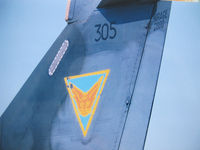 305 - squadron insigna - by olivier Cortot