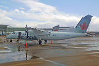 C-FJFM photo, click to enlarge C-FJFM photo, click to enlarge
