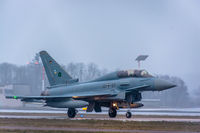 30 95 @ ETSN - Trainer Typhoon after practise session with snow and freezing temperature. - by rosijanni