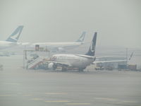 B-7806 @ VHHH - at misty hong kong - by Magnaman