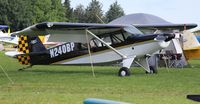 N240BP @ OSH - Bearhawk Patrol - by Florida Metal