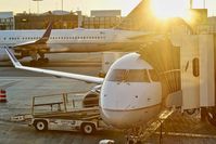 N133SY @ LAX - Sun setting LAX 2019. - by Clayton Eddy