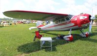N775A @ KOSH - Cessna 195B - by Florida Metal