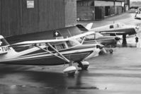 HB-TUR @ LSZB - On a rainy day at Berne-Belp airport. Scanned from a b+W-negative. - by sparrow9