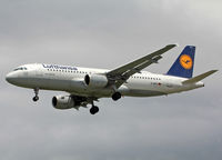 D-AIPY photo, click to enlarge D-AIPY photo, click to enlarge