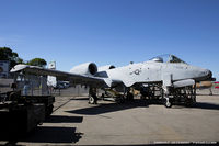 80-0247 @ KFRG - A-10A Thunderbolt 80-0247 OS from 25th FS 51st FW Osan AB, South Korea - by Dariusz Jezewski www.FotoDj.com