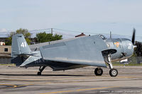 N3967A @ KFRG - Grumman TBM-3U Avenger She's Boss  C/N 53835, N3967A - by Dariusz Jezewski www.FotoDj.com