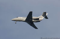 N801P @ KJFK - British Aerospace BAE 125-800  C/N NA0456, N801P - by Dariusz Jezewski www.FotoDj.com