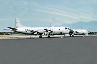 NZ4204 @ YPEA - Lockheed P3B Orions RNZAF NZ4204 and NZ4205 RAAF Base Pearce late 1960s. - by kurtfinger