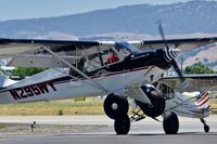 N295WY @ LVK - Livermore Airport California 2019. - by Clayton Eddy