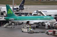 EI-DVG - A320 - Aer Lingus