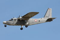 AS9819 @ LMML - Pilatus B. Norman BN.26 Islander AS9819 Armed Forces of Malta - by Raymond Zammit