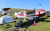 N1556D @ KOSH - Cessna 195A - by Florida Metal