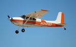 N3129D @ KOSH - Cessna 180 - by Florida Metal