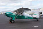 ZK-PAL @ NZAR - Ardmore Taildraggers Inc., Auckland - by Peter Lewis