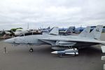 163902 - Grumman F-14D Tomcat at the Hickory Aviation Museum, Hickory NC - by Ingo Warnecke