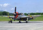 N9246B @ KGKT - Republic P-47D Thunderbolt at the Tennessee Museum of Aviation, Sevierville TN