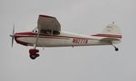 N9277A @ KLAL - Cessna 170A - by Florida Metal