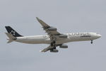 D-AIFE @ LMML - A340 D-AIFE Lufthansa Star Alliance - by Raymond Zammit